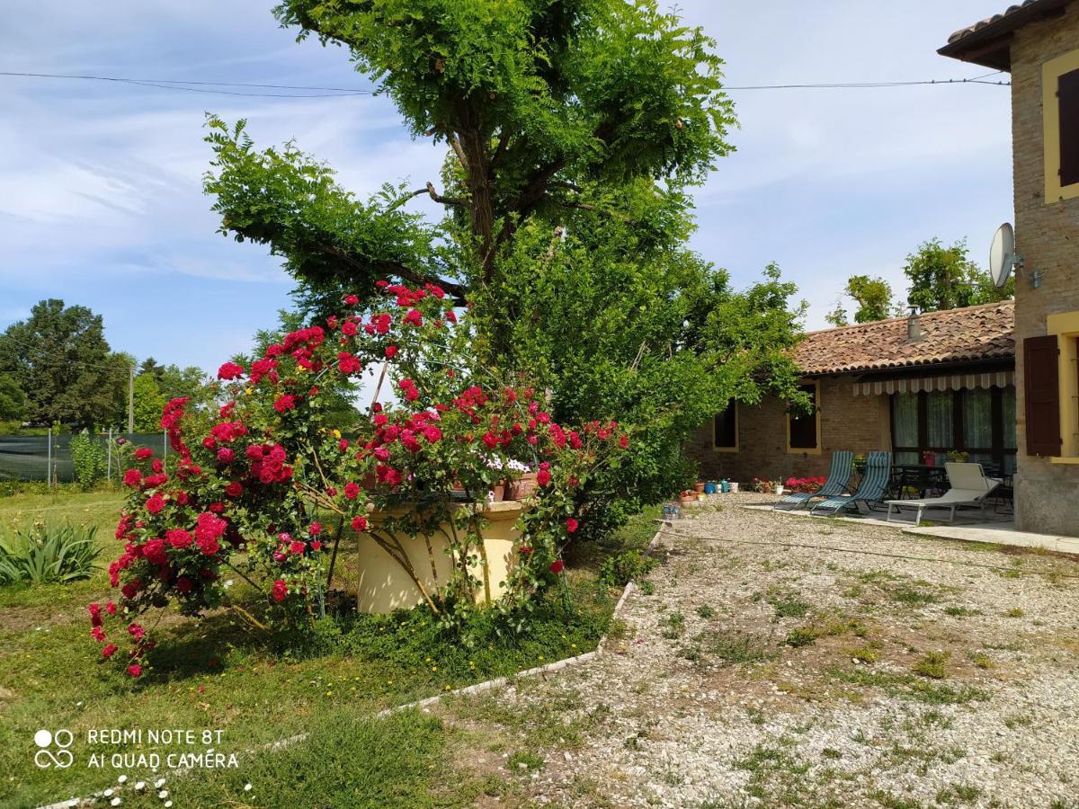 La Rosa Selvatica Acomodação com café da manhã Ravarino Exterior foto